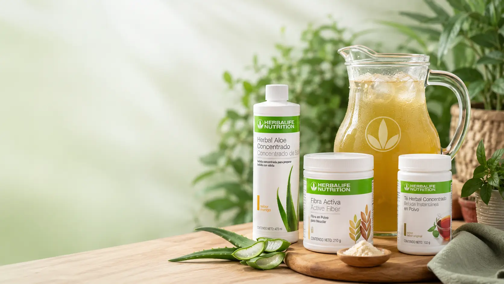 Plan TAF Herbalife Chile: combinación de Té Concentrado, Aloe Vera y Batido Fórmula 1 para control de peso