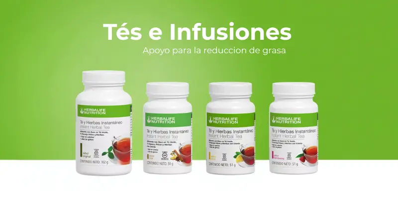 Té Herbalife Chile — Té Concentrado de Hierbas en 4 sabores, base del combo TAF